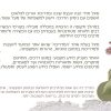 דף סוגר- המדריך