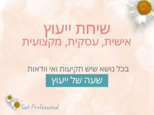 ‎⁨שיחת ייעוץ⁩- מוצר