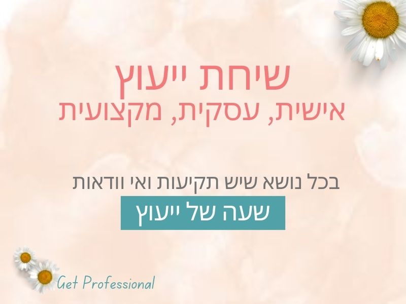 ‎⁨שיחת ייעוץ⁩- מוצר